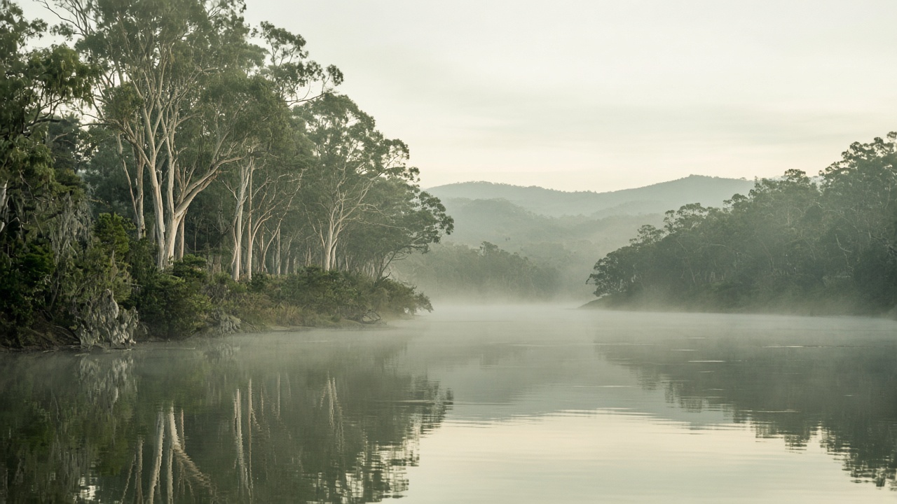 Still river and eucalyptus on the Mid North Coast